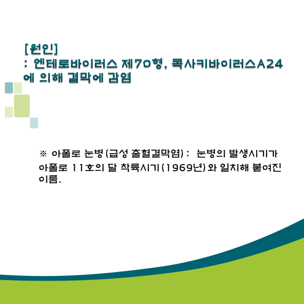 [원인] : 엔테토바이러스 제70형, 콕사키바이러스A24에 의해 결막에 감염 ※ 아폴로 눈병 (급성 출혈결막염) : 눈병의 발생시기가 아폴로 11호의 달 착륙시기(1969년)와 일치해 붙여진 이름.